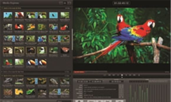Blackmagic helps with broadcast monitoring in FCP X 10.0.3