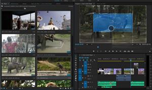 Adobe unveils advancements in video products line