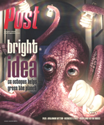 A close-up of a purple octopus holding compact fluorescent light bulbs, with the word "Post" and "bright idea" visible.