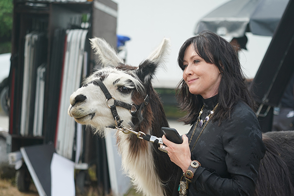 A woman with dark hair smiles while standing beside a brown and white llama wearing a halter.