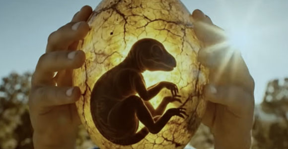 Two hands hold a large, cracked, glowing egg containing the silhouette of a small creature.