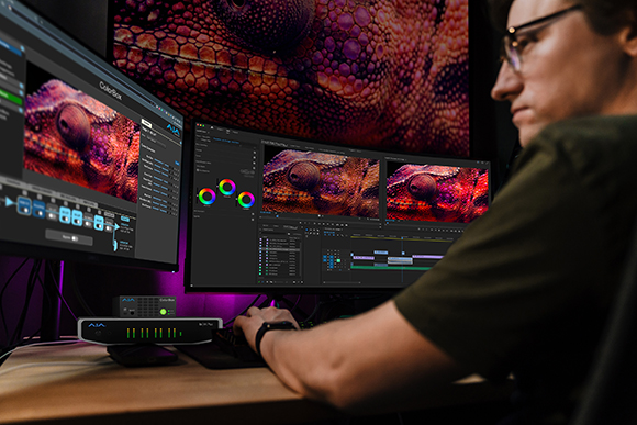 A person uses dual monitors to edit a close-up photo of a lizard's skin.