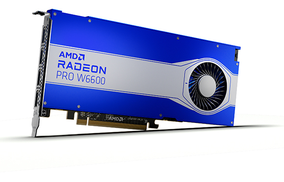 A blue and silver AMD Radeon Pro W6600 graphics card shown at an angle against a white background.