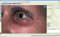 A 3D wireframe mesh overlaid on a close-up digital model of a human eye and face within software.