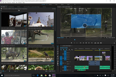 Adobe Premiere Pro interface showing video clips in a bin, a preview window, and a multi-track timeline.