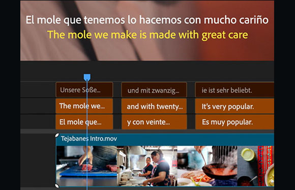 Video editing software interface displaying multilingual subtitles for a clip about mole sauce.