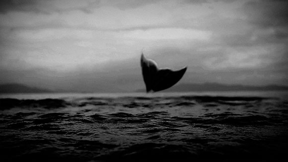 A black and white silhouette of a whale's tail fluke rising out of dark ocean waves under a cloudy sky.