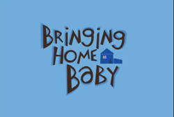 Stylized dark brown text reading 'Bringing Home Baby' with a small blue house icon on a light blue background.