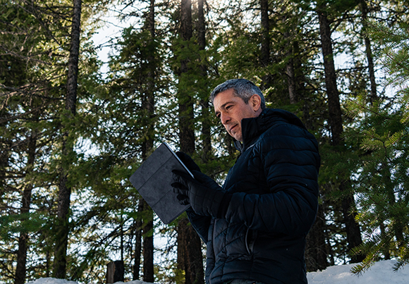 A man in a black puffer jacket looks at a tablet while standing among tall evergreen trees.