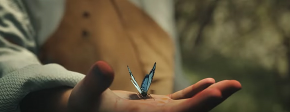 A small blue and white butterfly rests on an open human hand.