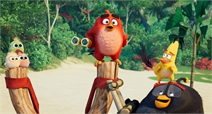 Several colorful animated birds stand on wooden posts in a lush, tropical jungle environment.