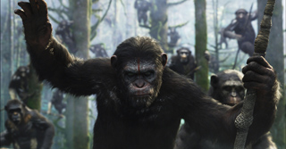 A chimpanzee with a determined expression raises one hand while holding a wooden staff in a forest.