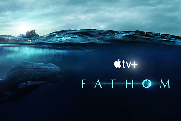 Split view of a small boat on the ocean surface and a large whale swimming underwater.