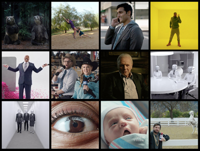 A collage of twelve different scenes including animals, people in various settings, and close-up shots.