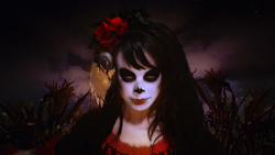 Person with Day of the Dead skull makeup and red flowers in dark hair against a cloudy night sky.