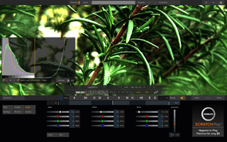 Audio editing software interface with waveform displays over a background of green rosemary sprigs.