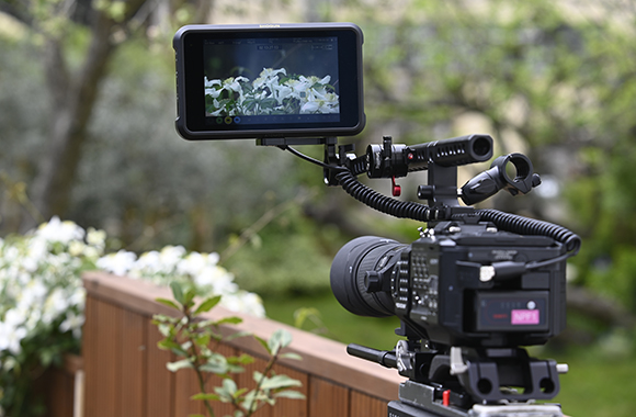 A professional video camera with a large external monitor displaying white flowers outdoors.