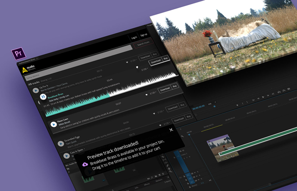 A video editing software interface displaying a music track library and a video preview of a person in a field.