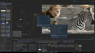 Video editing software interface with a node graph on the left and a lion and zebra preview on the right.
