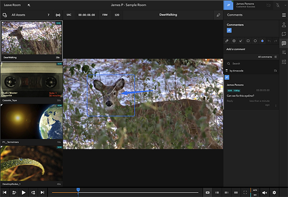 Video editing software interface showing a deer in a forest on the preview monitor.