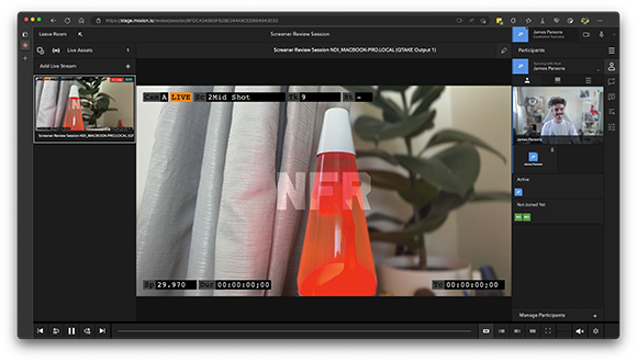 Software interface displaying a video feed of a red lava lamp and a small window of a man smiling.