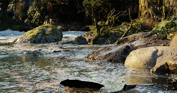 A river flows rapidly over dark rocks near a lush, wooded shoreline.