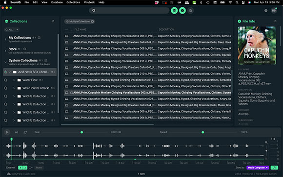 A software interface showing a list of Capuchin Monkey sound effect files and audio waveforms.