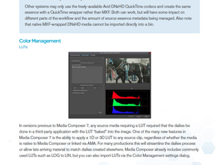 Software interface displaying a video clip of a horse and a color histogram.