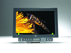 A computer monitor displaying a macro photograph of a bee on a bright yellow flower against a black background.