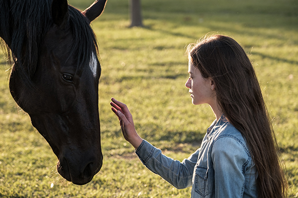 A young girl with long brown hair reaches her hand toward the face of a large black horse in a grassy field.