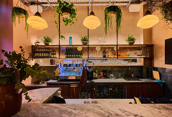 A bar counter with marble top, shelves of bottles, and hanging plants under warm pendant lights.