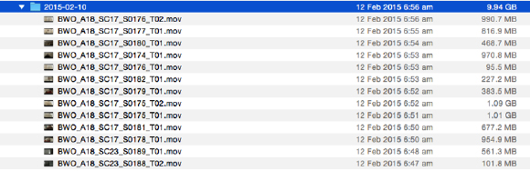 A computer file directory window showing a list of video files with timestamps and file sizes.
