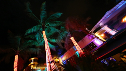 Palm trees with glowing orange trunks stand beside a building lit in blue and purple at night.