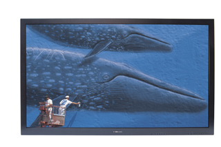 A television screen shows a large whale swimming in deep blue water near two people on a boat.