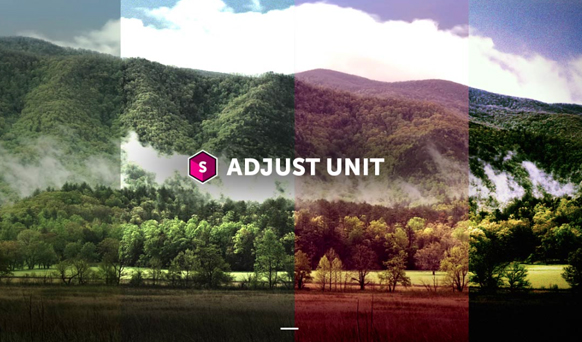 Four vertical color-graded panels showing a forested mountain landscape with the text 'ADJUST UNIT'.