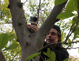 A person holds a small action camera against the bark of a large tree branch.