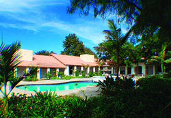 A bright blue swimming pool sits in front of a tan building under a clear blue sky with palm trees.
