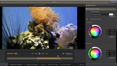 A video editing software interface displaying an underwater scene of coral and sea life.