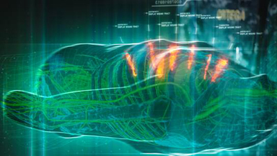 A glowing teal digital rendering of a human torso showing internal skeletal and nervous system structures.