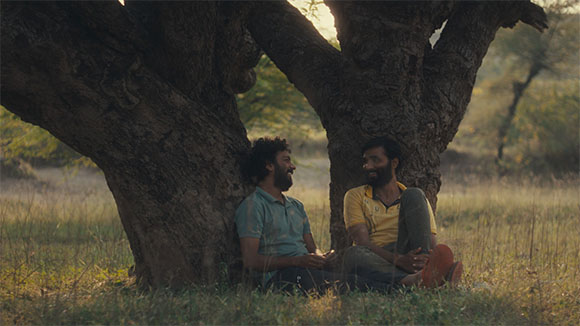 Two men sit on the grass, leaning against the trunk of a massive, spreading tree in a field.