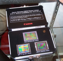 Display case with three Canon CMOS sensors: 36mm full-frame, APS-H, and APS-C sizes.