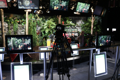 A television studio set resembling a jungle, featuring multiple cameras, monitors displaying jungle scenes, and artificial fo