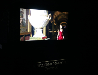 A woman in a red dress stands in a museum-like setting next to a large ornate vase, displayed on a screen.