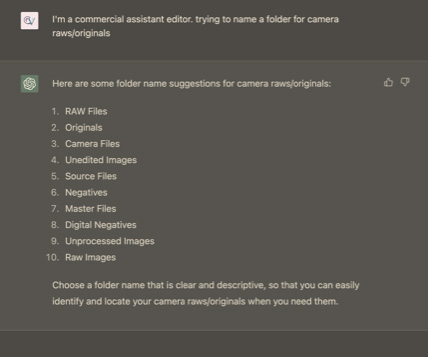 Chat interface showing a user asking for folder name suggestions and an AI providing a numbered list.