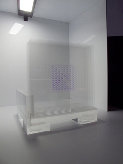 Translucent cube sculpture with a grid pattern inside, illuminated by overhead lighting.