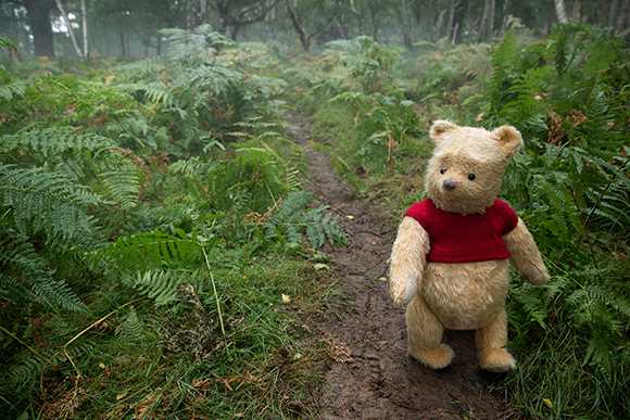 A tan teddy bear wearing a red shirt walks along a muddy dirt path through a lush, green fern forest.