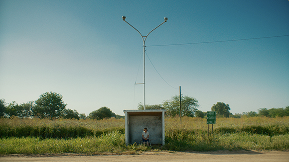 A person sits inside a small, open bus shelter in a grassy field under a tall, Y-shaped street light.