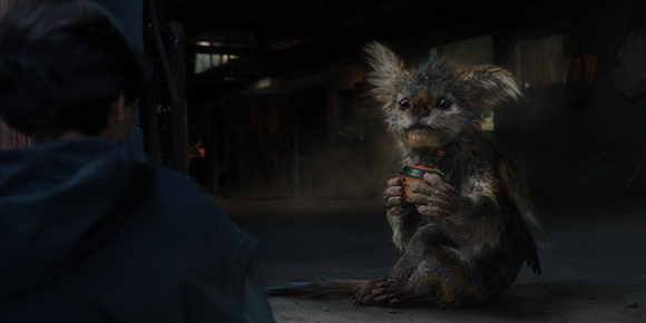 A small, furry creature with large ears sits on a dark floor, looking toward a person in the foreground.