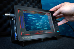 A hand touches the side of a black Cinedeck monitor showing a school of fish swimming underwater.
