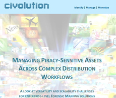 Graphic with the text 'Managing Piracy-Sensitive Assets Across Complex Distribution Workflows' over a collage of media.
